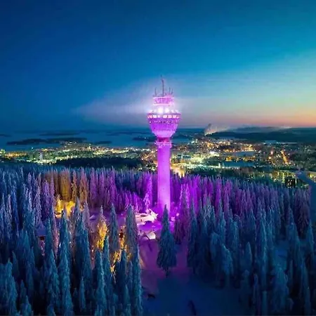 Near The Train Station, Free Parking &netflix * Kuopio